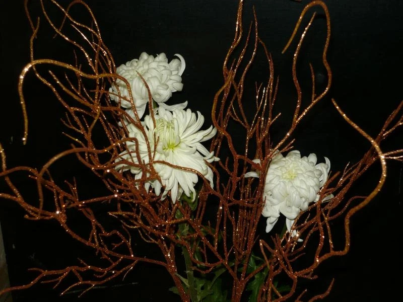 Фотогалерея