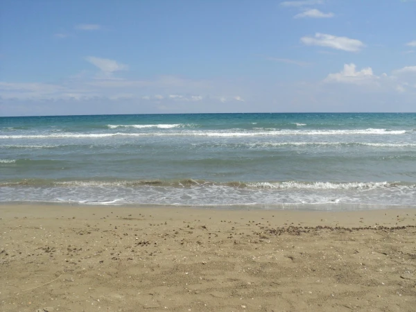 Louis Zante Beach
