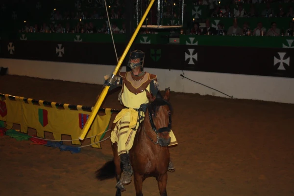 РЫЦАРСКИЙ ТУРНИР май 2010