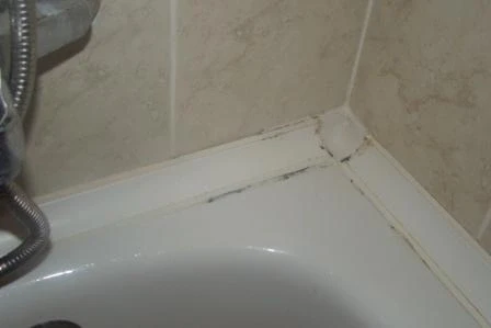 Попались на картинки в Интернете!!!!!!!!!!