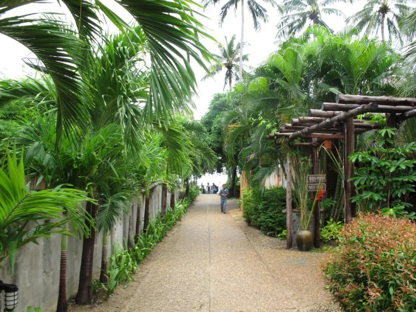 Краби. Railay Bay Resort & Spa. Территория