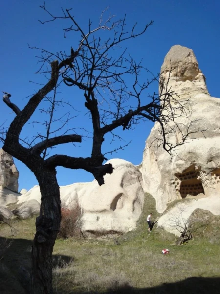 голубиная долина