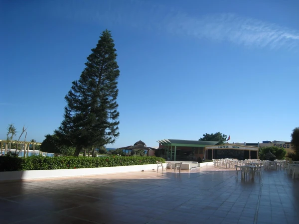 Tunisia Mahdia Thapsus терраса