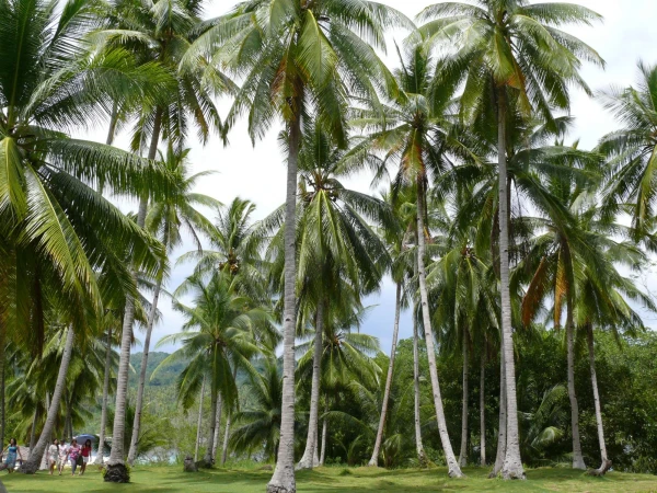 В гостях на соседнем острове