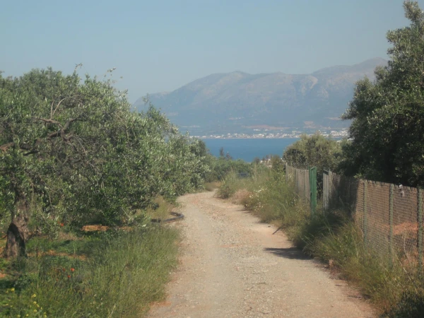 на прогулке