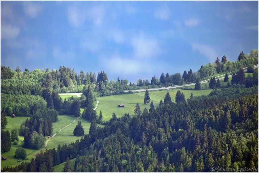 В лужах отражается небо с облаками