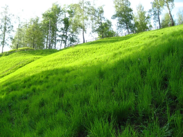 Плёс