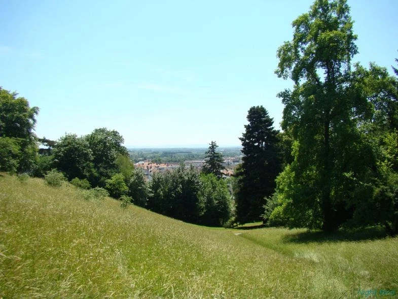 Курпарк