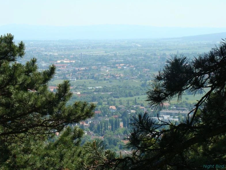 Баден