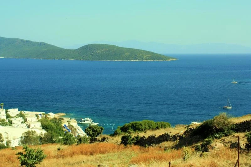 море