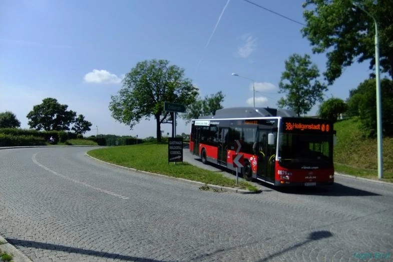Автобус из Каленберга в Вену