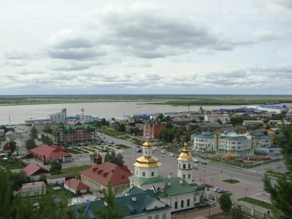 Вид сверху на Самарово