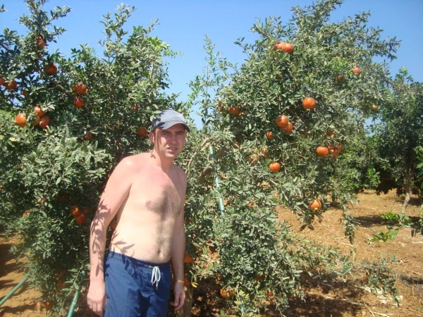 гранатовый сад в отеле
