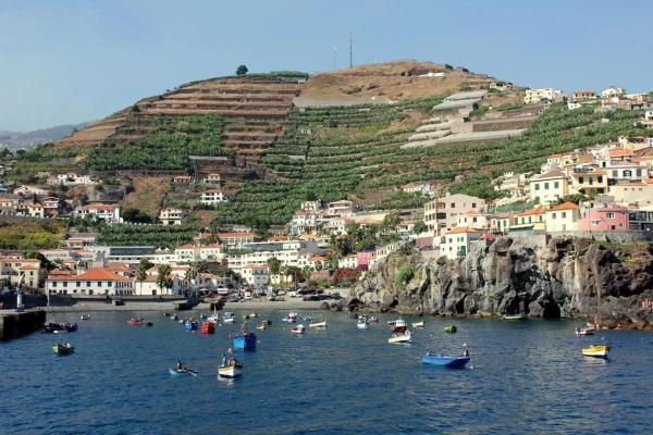 Camara de Lobos (бухта) 