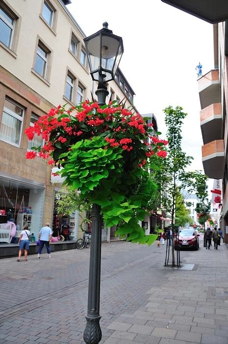 Кобленц