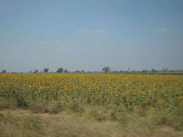 по дороге в Хампи