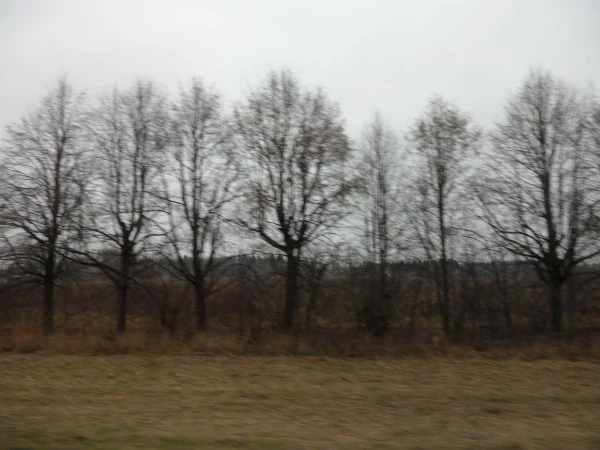 экскурсии