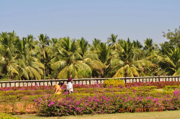 Индия и отель Alila Diwa