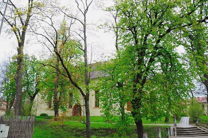 Кулдига
