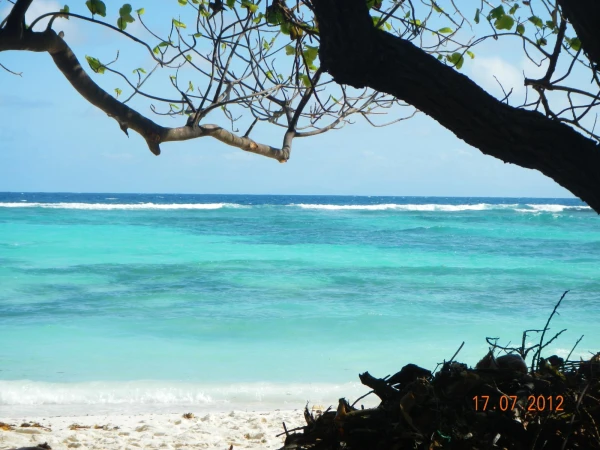 Anse Source d'Argent (о.Ла-Диг)