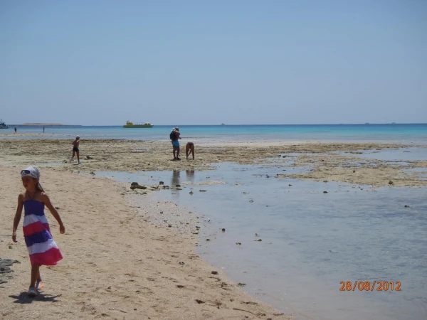 отлив (море украли)