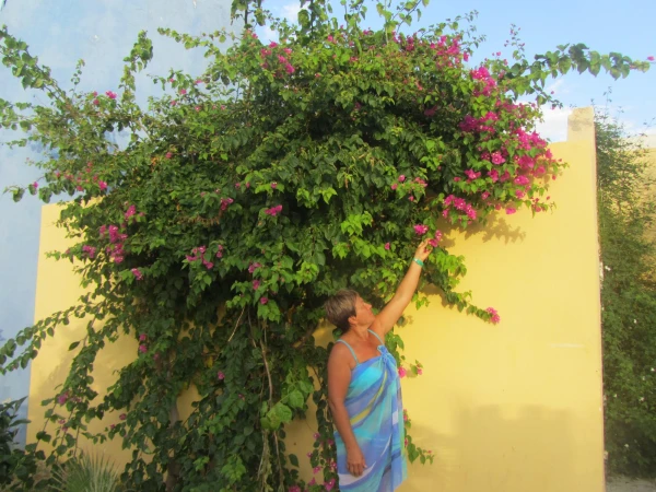 в отеле