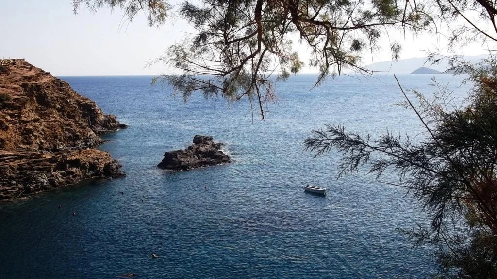 море
