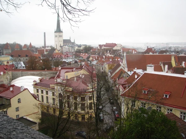 Крыши Таллинна
