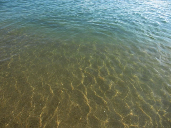 Море у отеля