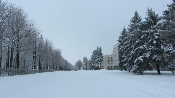 Бульвар Венец 2013