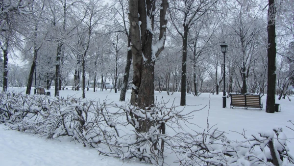 Бульвар Венец