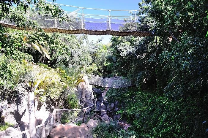 JUNGLE PARK 