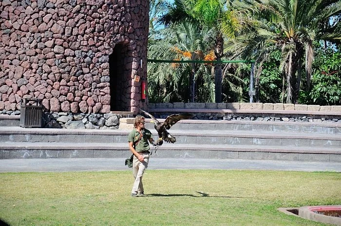 JUNGLE PARK 