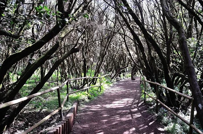 La Gomera. Национальный парк Гарахонай 