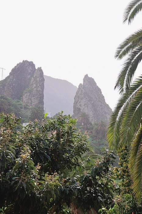La Gomera