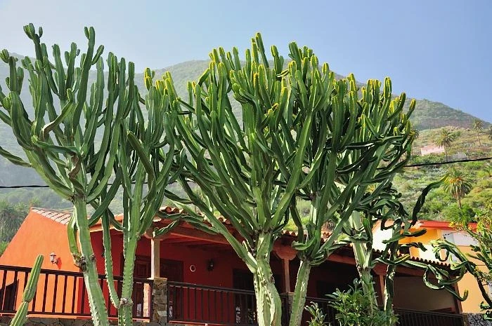 La Gomera