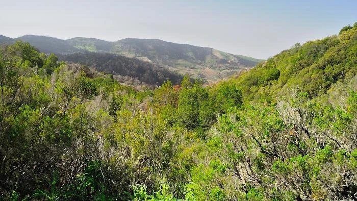 La Gomera