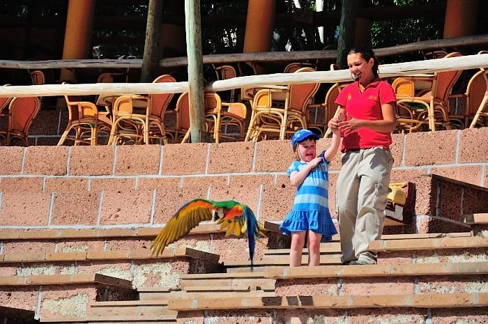 JUNGLE PARK 