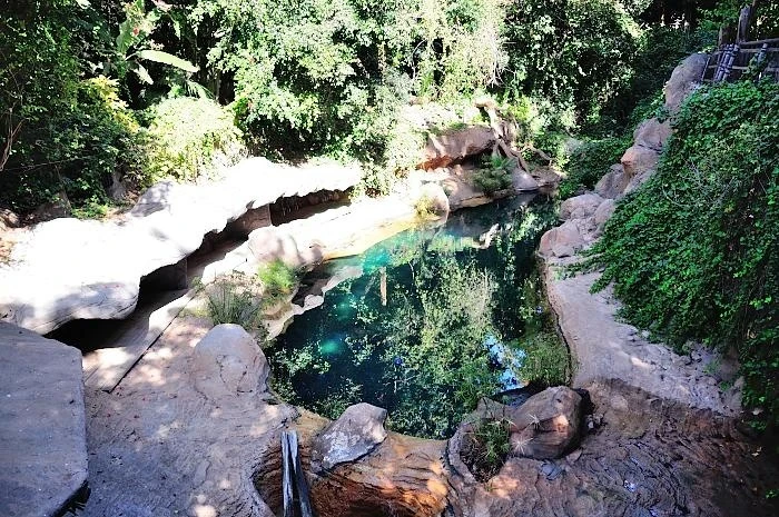 JUNGLE PARK 