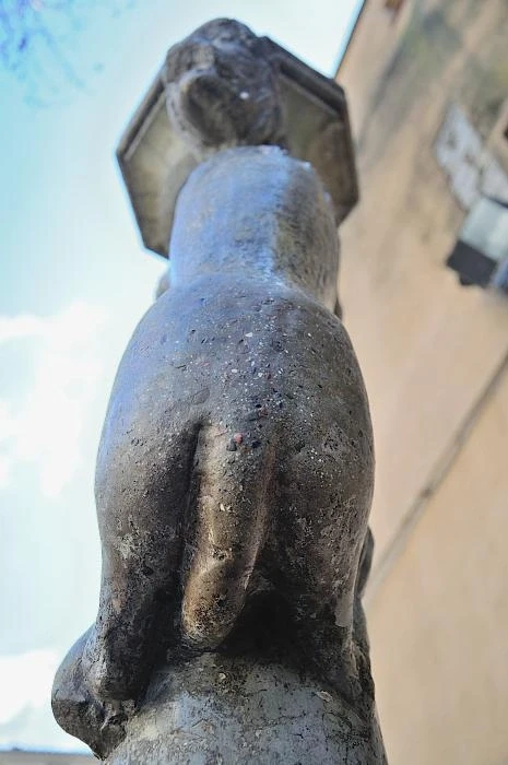 Жирона