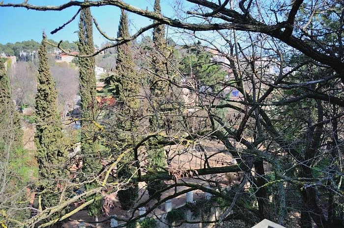 Жирона