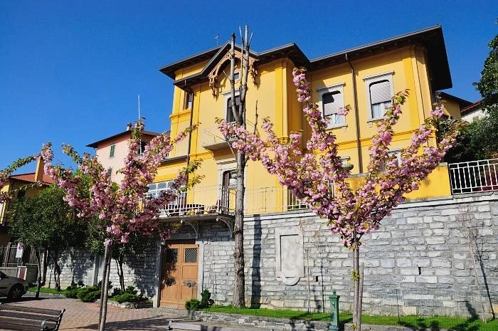 Варенна