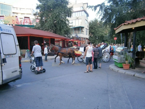 Виды транспорта
