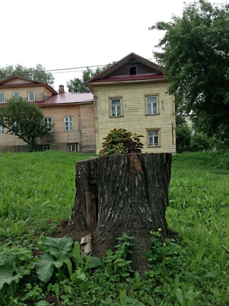 У мышиной мельницы
