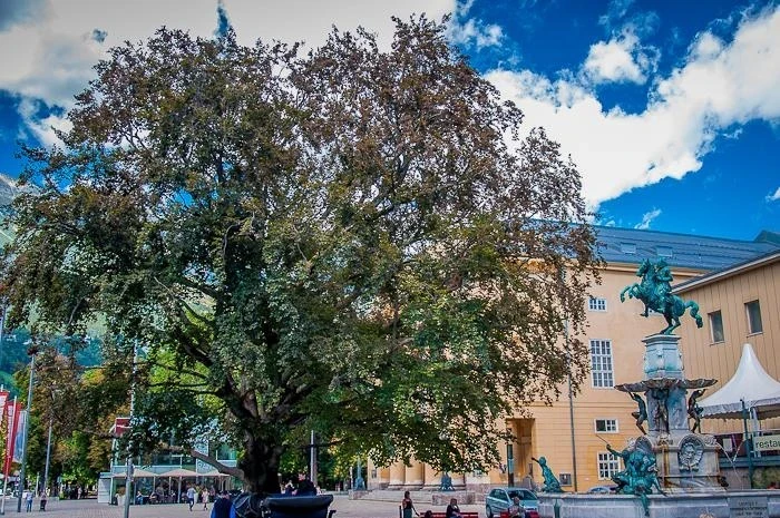 Инсбрук
