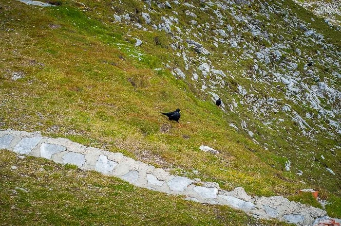 Hafelekarspitze