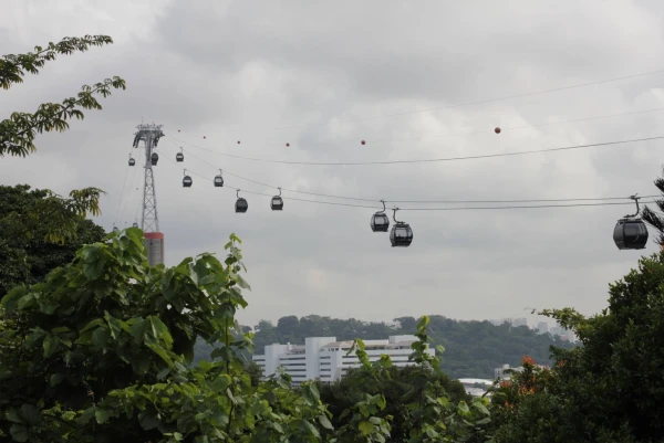 Канатная дорога Cable Car  в верхней точке имеет высоту 91 метр