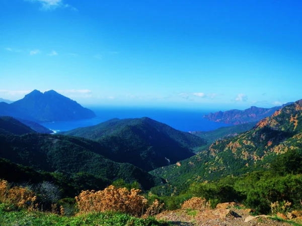 Girolata