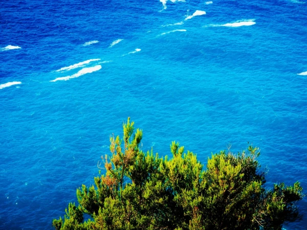 Корсика. Море, море....