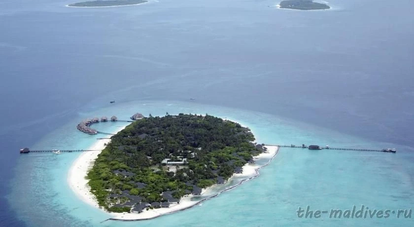 The-maldives.ru
